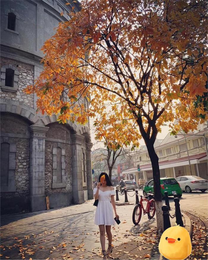 Aura Home Whole French House Hanoi Bagian luar foto