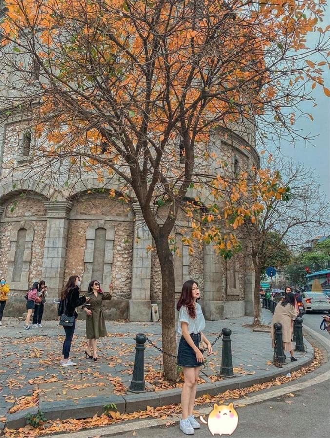 Aura Home Whole French House Hanoi Bagian luar foto